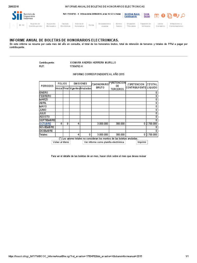 Informe Anual Boletas de Honorarios 2015 | PDF | Business