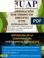 cts ppt.pdf