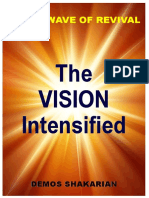 Vision Intensified PDF