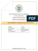 Diferencias y Semejanzas de Un ESIA y SGA - Hidalgo - Jéssica