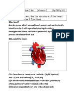 Lecture-5 Edex-O Bio Chapter-5 Pg-73 (Fig.5.5) From Bio 2.65 Describe The Structure of The Heart and How It Functions