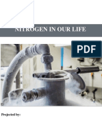 Nitrogen in Our Life: Projected by