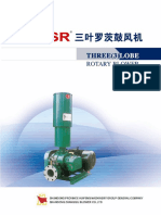 SSR Roots Blower.pdf