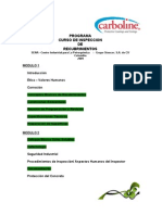 Programa Curso Inspección Version 05