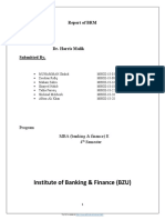 Business Research Report PDF
