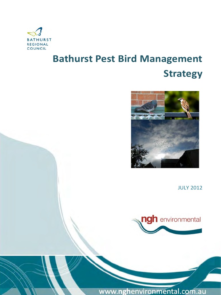 Bathurst Pest Bird Management Strategy | PDF | Birds | Organisms