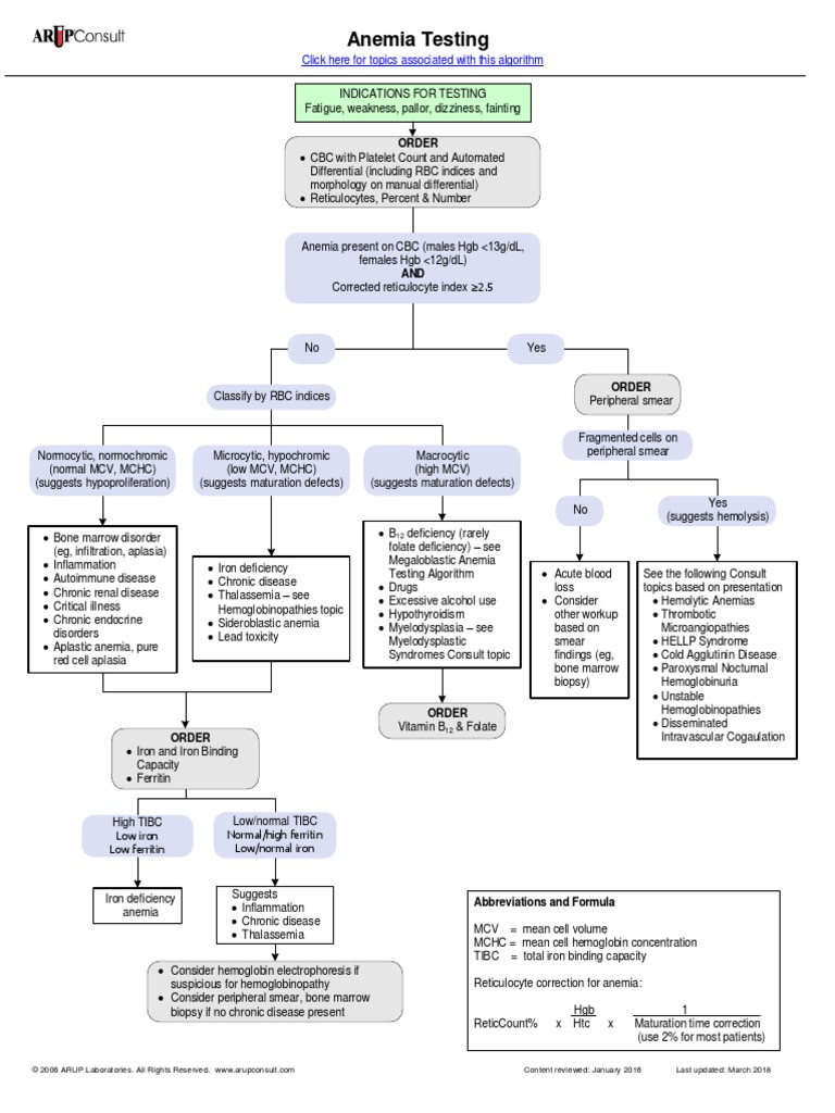 Anemia Testing Algorithm PDF PDF