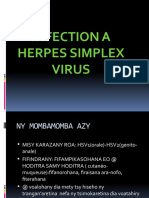 Infection A Herpes Simplex Virus