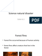 Sncince Natural Disaster