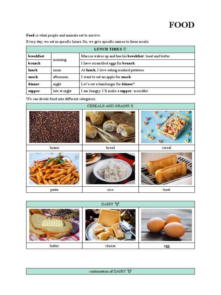 Food PDF Lunch Noun