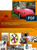 04 exemplu identificare riscuri auto.pdf