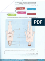 Ciências Excretor PDF