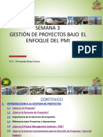 Gerencia de Proyectos PDF