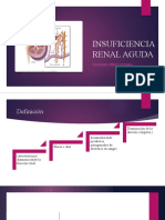 Insuficiencia Renal Aguda