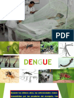 Dengue-Dr. Guido