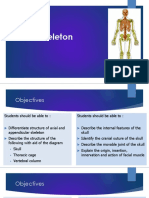 Axial Skeleton PDF