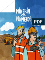 Mineria en Numeros 2020 PDF