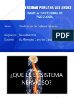 Sistema Nervioso Virtual