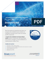 Blue Prism - Developer Certification Exam (ES) PDF