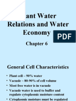 Plant Water Relations and Water Economy
