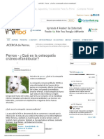 venFIDO - Perros - ¿Qué Es La Osteopatía Cráneo-Mandibular