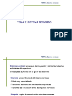 tema_9-2_sistema_nervioso