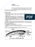 Animal Diversity and Classification Part 3