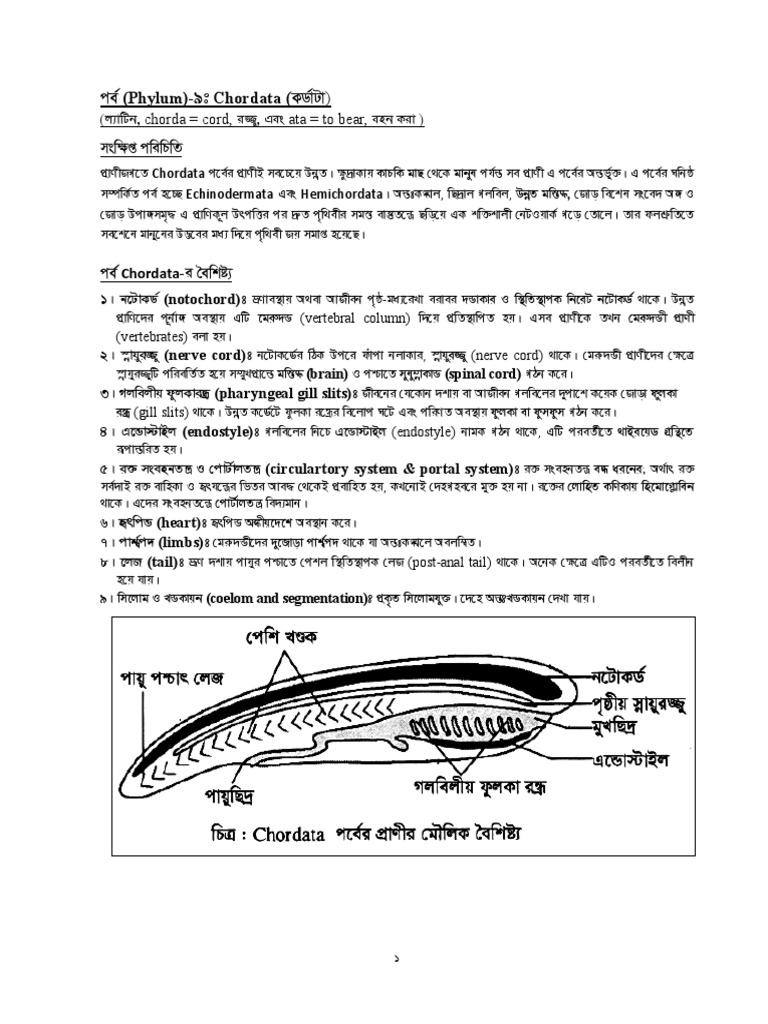 Animal Diversity And Classification Part 3 Aquatic Animals Vertebrates