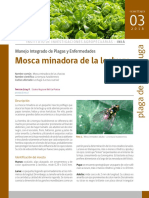 Ficha Inia 03 PDF