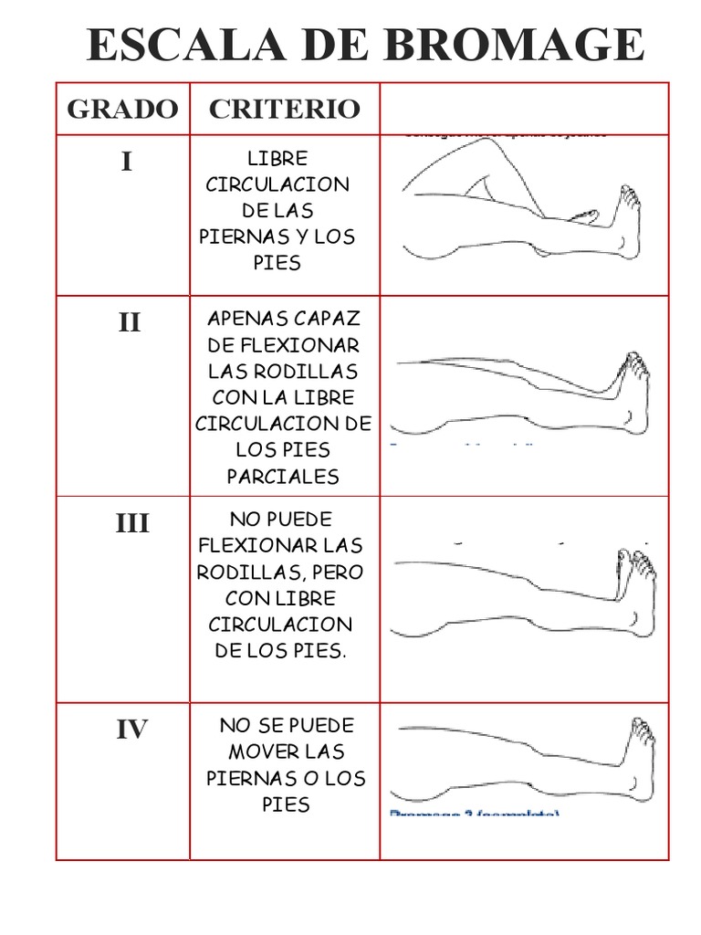 Clasificación de la Escala de Bromage | PDF