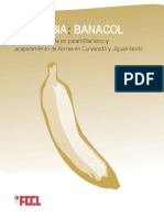 Banacol Paramilitarismo Uraba PDF