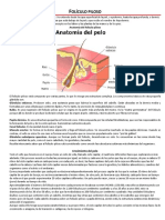 Anatomia-Patologia-Cosmeticos-Proteccion-Calidad Servicio