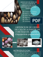 OBTENCION DE OXIDO DE CALCIO A PARTIR DE CONCHAS DE ABANICO (wecompress.com).pptx