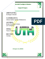 Tarea6 - Ensayo. Ecologia