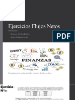 Ejercicios-Flujos-Netos