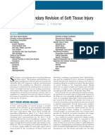 Secondary Revision of Soft Tissue Injury