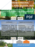 prog-nac-cafe-XXVII Seminario Regional Perez Zeledon 2016 MG CICAFE