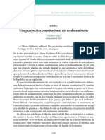 Una Perspectiva Constitucional Del Medioambiente: Anuario de Derechos Humanos