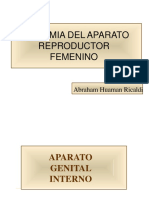 anatomia-genital-femenino.pdf