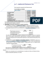 Auditoría del Patrimonio Neto de PANETO S.L.: análisis y conclusiones