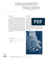 Sindrome Del Nido Vacio PDF