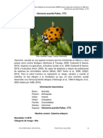 Harmonia Axyridis PDF