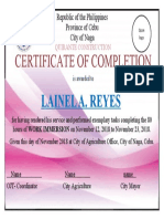 Certificate of Immersion TVL