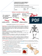 6 GUIA DE C. NATURALES Sistema Oseo