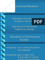 ChroMutations F05