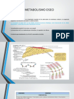 17 Trastornos Óseos Metabólicos