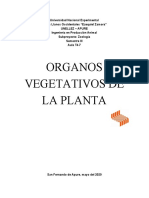órganos vegetativos de las plantas