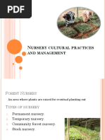 Nursery Layout Design Guide | PDF | Plant Nursery | Horticulture