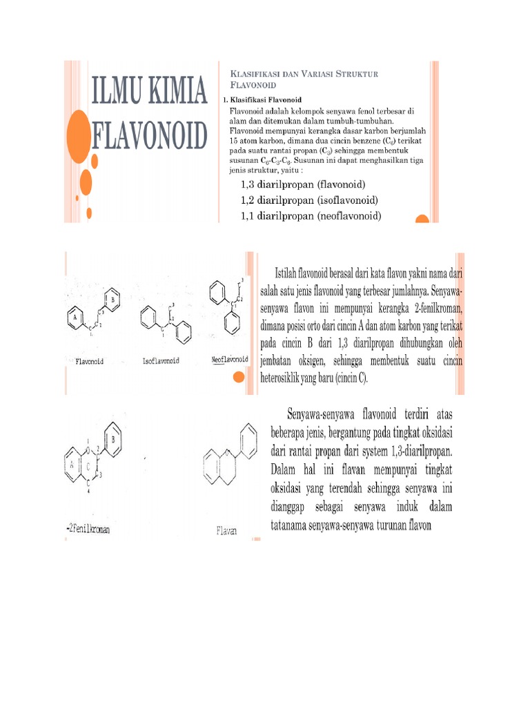 Flavonoid PDF