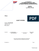 PG-03, Audit Intern